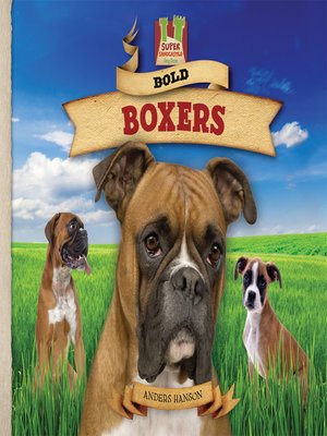 cover image of Bold Boxers